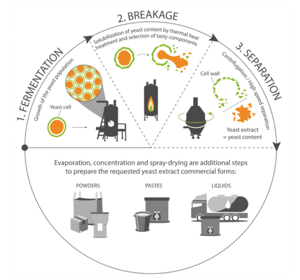 Tout tout tout vous saurez tout sur la levure ;-) Levure chimique ou levure  sèche? Ou encore comment faire votre propre levure?! En ces temps de  confinement, cela devient une denrée aussi