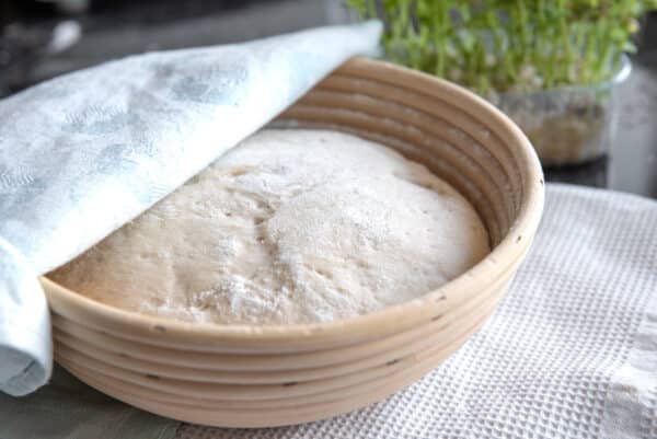 Whol,e grain dough rising in a basket, kitchen towels