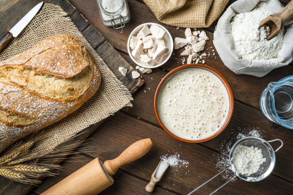 Ingredients for preparing homemade bread shot from above. Yeast, wheat flour, water and salt. High resolution 42Mp studio digital capture taken with SONY A7rII and Zeiss Batis 40mm F2.0 CF lens